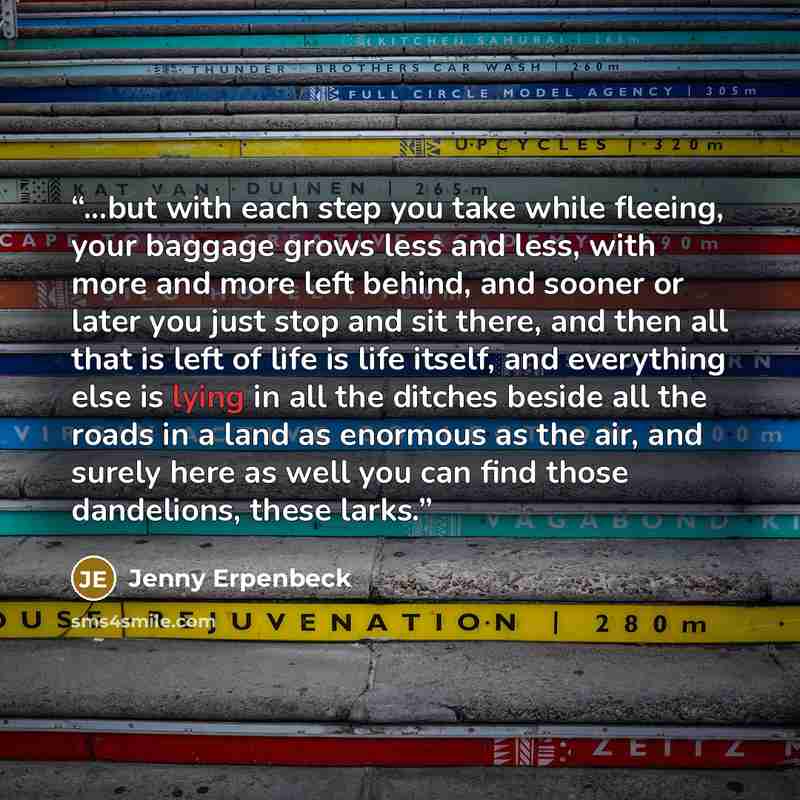 “...but with each step you take while fleeing, your baggage grows less and less, with more and more left behind, and sooner or later you just stop and sit there, and then all that is left of life is life itself, and everything else is lying in all the ditches beside all the roads in a land as…” quote by Jenny Erpenbeck
