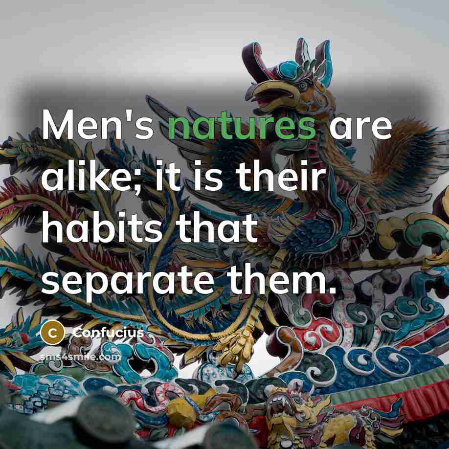 “Men's natures are alike; it is their habits that separate them.” quote by Confucius
