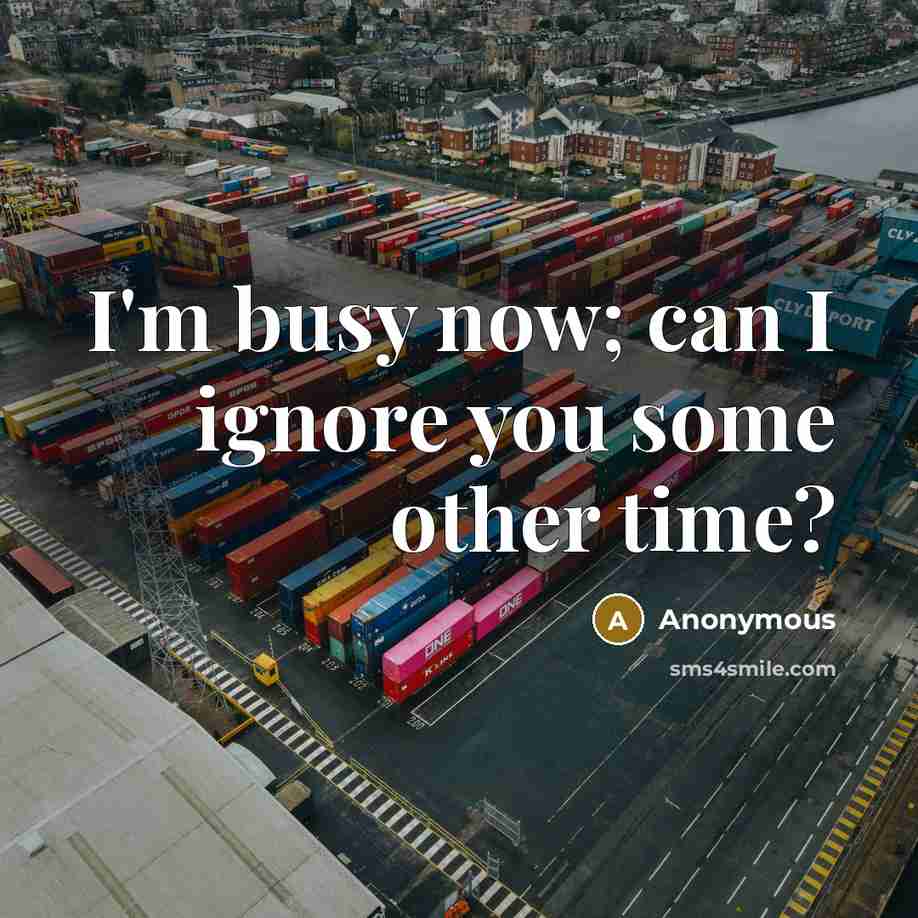 “I'm busy now; can I ignore you some other time?” quote by Anonymous