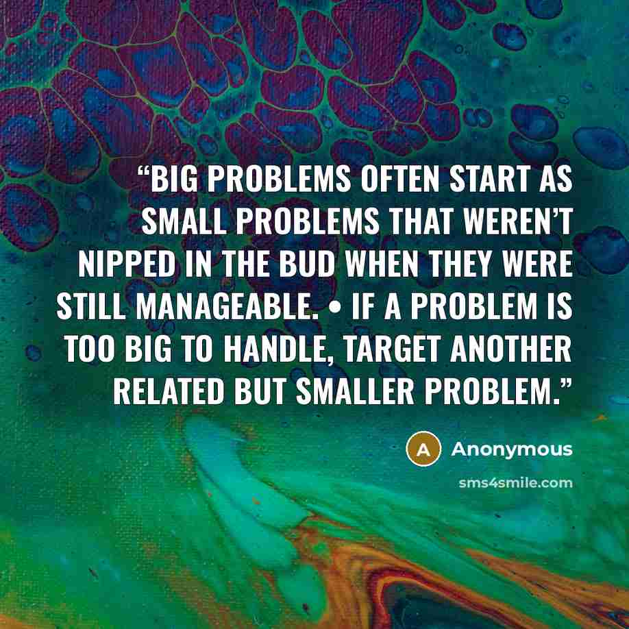 “Big problems often start as small problems that weren’t nipped in the bud when they were still manageable. • If a problem is too big to handle, target another related but smaller problem.” quote by Anonymous