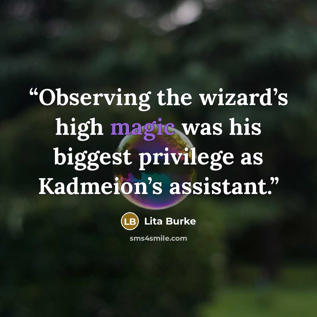 “Observing the wizard’s high magic was his biggest privilege as Kadmeion’s assistant.” quote by Lita Burke