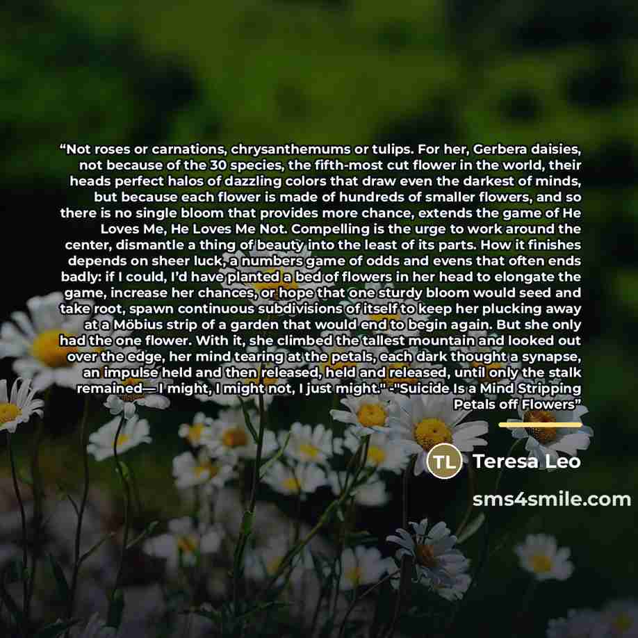 “Not roses or carnations, chrysanthemums or tulips. For her, Gerbera daisies, not because of the 30 species, the fifth-most cut flower in the world, their heads perfect halos of dazzling colors that draw even the darkest of minds, but because each flower is made of hundreds of smaller flowers, and…” quote by Teresa Leo