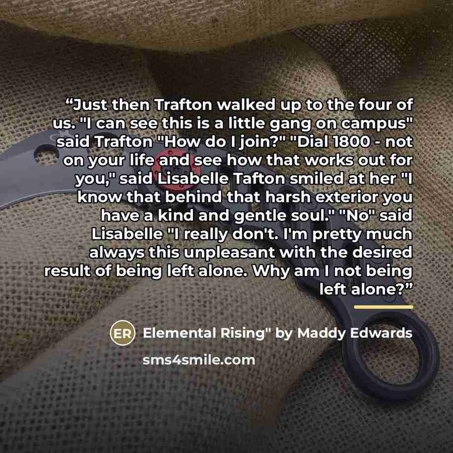 “Just then Trafton walked up to the four of us. "I can see this is a little gang on campus" said Trafton "How do I join?" "Dial 1800 - not on your life and see how that works out for you," said Lisabelle Tafton smiled at her "I know that behind that harsh exterior you have a kind and gentle soul."…” quote by by Maddy Edwards