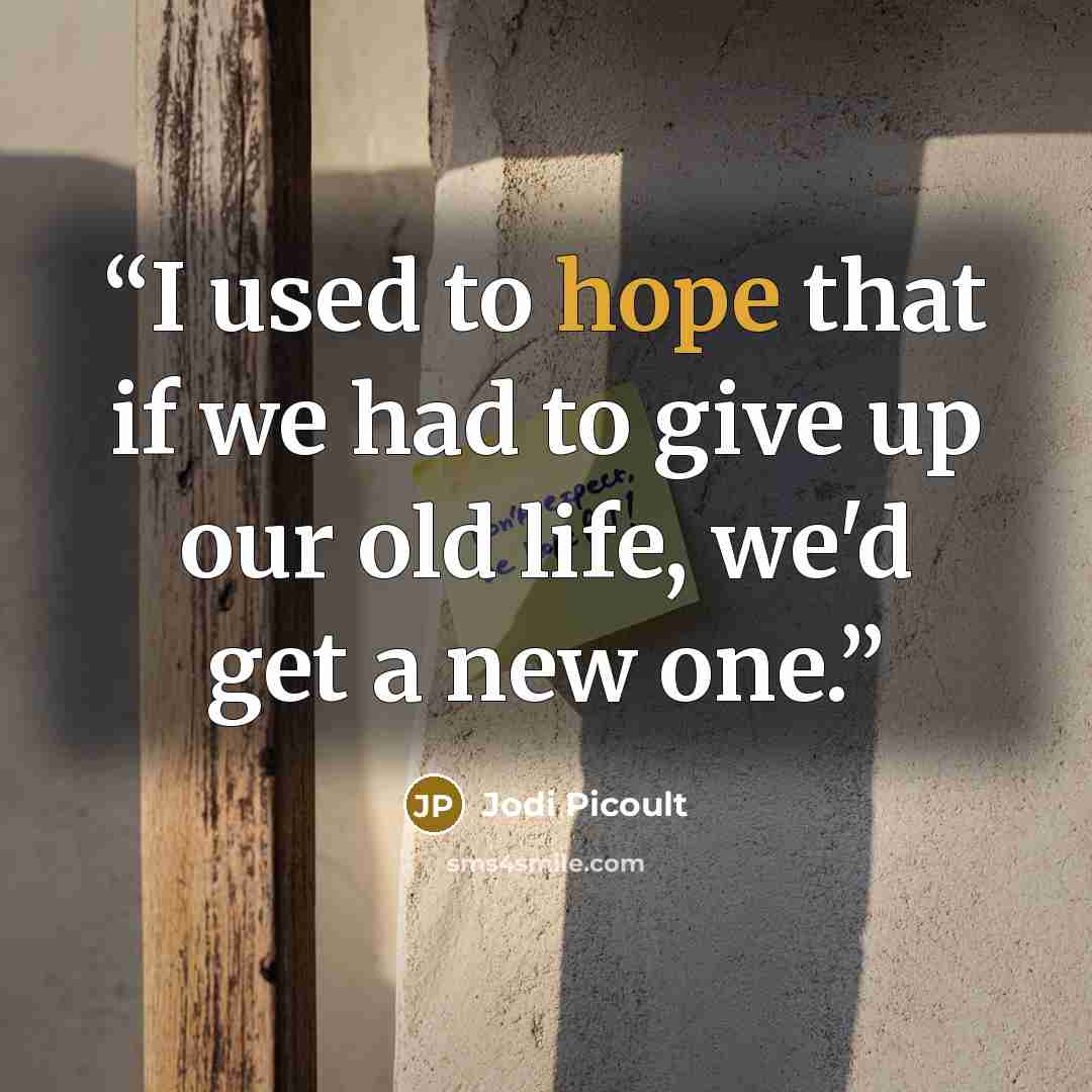 “I used to hope that if we had to give up our old life, we'd get a new one.” quote by Jodi Picoult