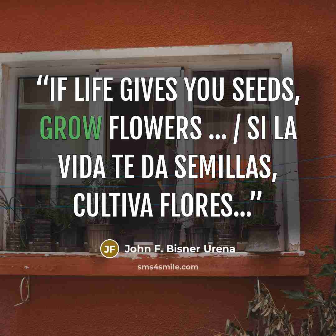 “If life gives you seeds, grow flowers ... / Si la vida te da semillas, cultiva flores...” quote by John F. Bisner Ureña