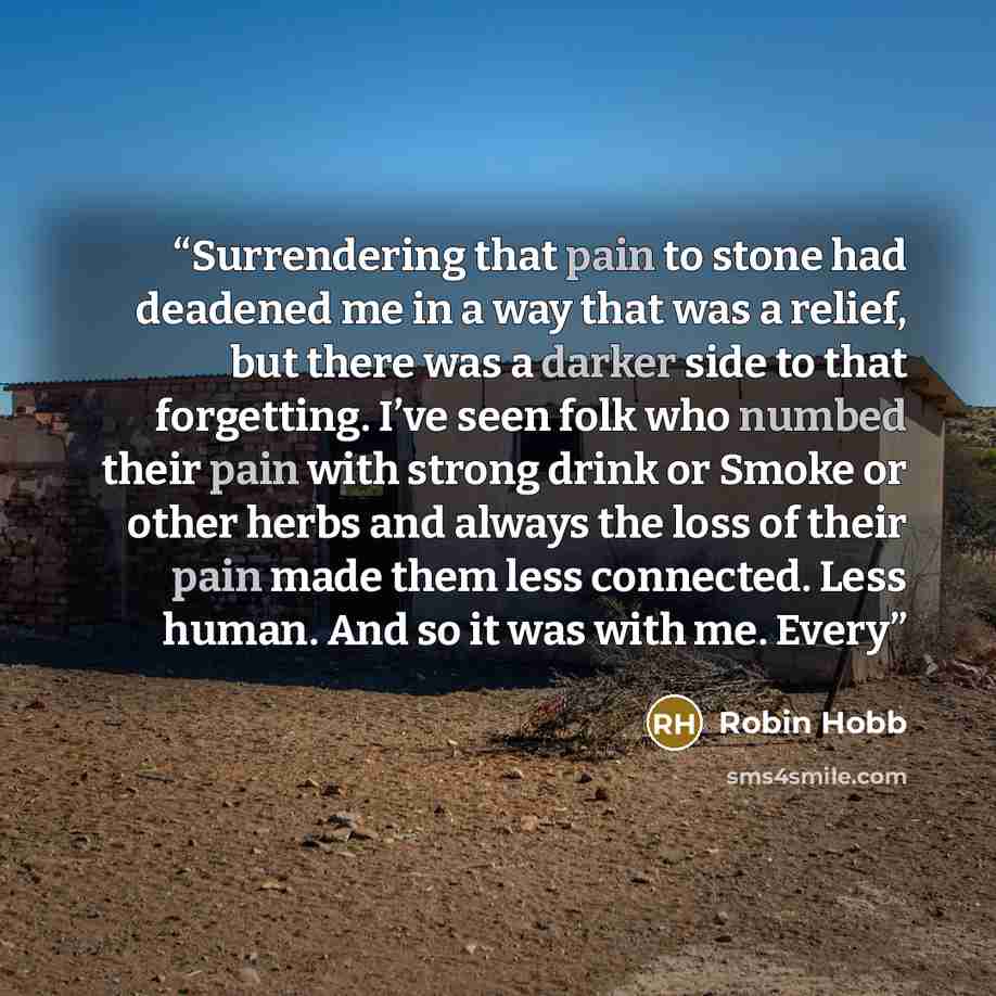 “Surrendering that pain to stone had deadened me in a way that was a relief, but there was a darker side to that forgetting. I’ve seen folk who numbed their pain with strong drink or Smoke or other herbs and always the loss of their pain made them less connected. Less human. And so it was with me…” quote by Robin Hobb
