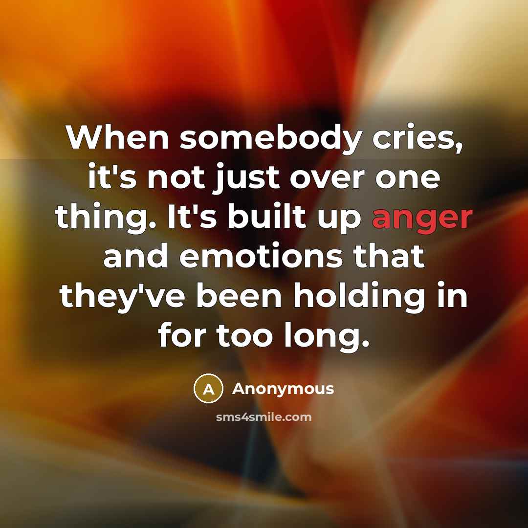 “When somebody cries, it's not just over one thing. It's built up anger and emotions that they've been holding in for too long.” quote by Anonymous