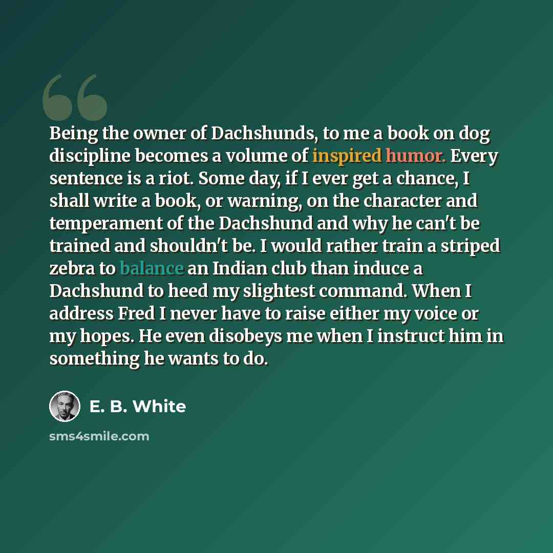 “Being the owner of Dachshunds, to me a book on dog discipline becomes a volume of inspired humor. Every sentence is a riot. Some day, if I ever get a chance, I shall write a book, or warning, on the character and temperament of the Dachshund and why he can't be trained and shouldn't be. I would…” quote by E. B. White