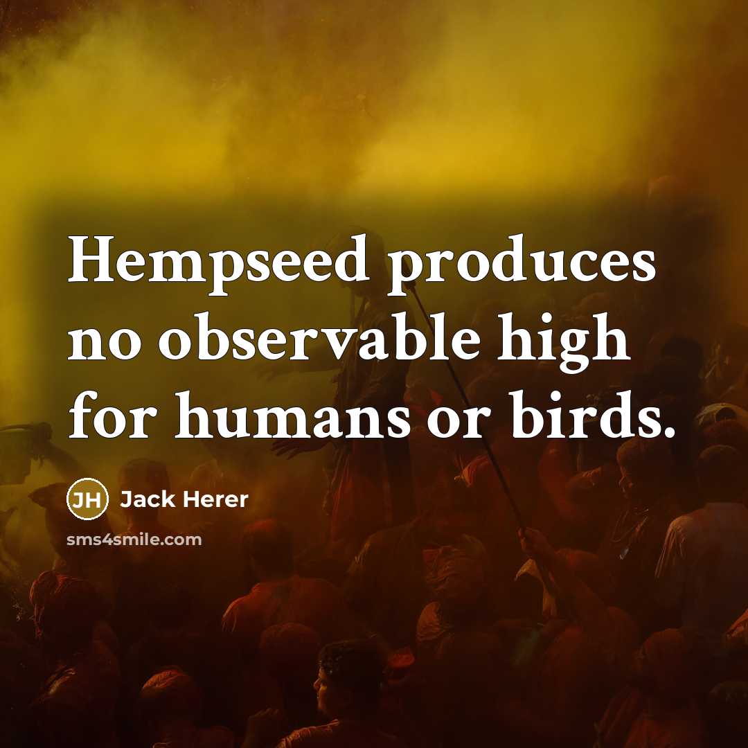 “Hempseed produces no observable high for humans or birds.” quote by Jack Herer