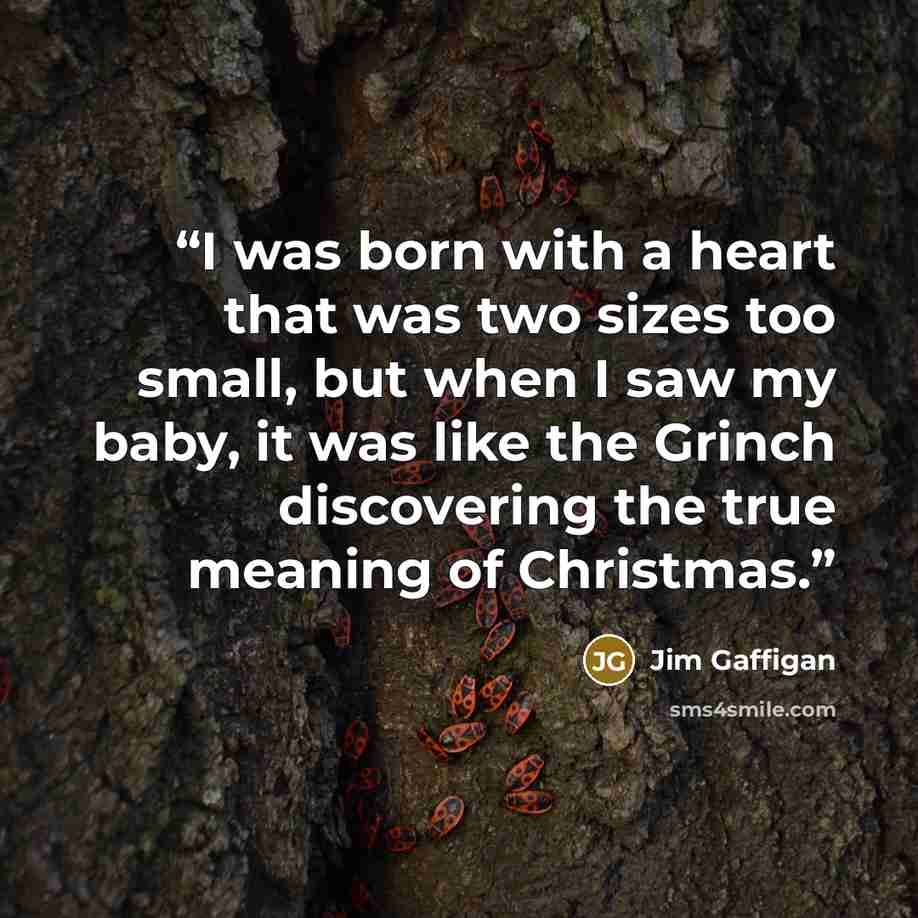 “I was born with a heart that was two sizes too small, but when I saw my baby, it was like the Grinch discovering the true meaning of Christmas.” quote by Jim Gaffigan