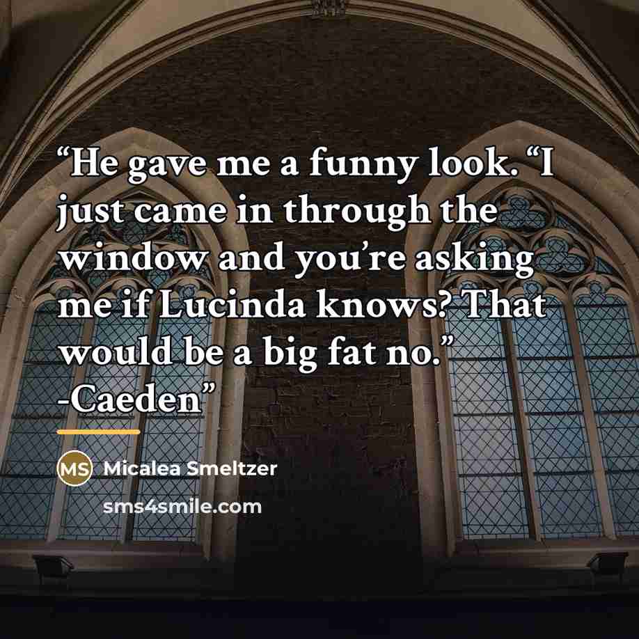 “He gave me a funny look. “I just came in through the window and you’re asking me if Lucinda knows? That would be a big fat no.” -Caeden” quote by Micalea Smeltzer
