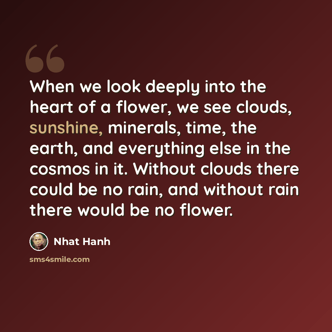 “When we look deeply into the heart of a flower, we see clouds, sunshine, minerals, time, the earth, and everything else in the cosmos in it. Without clouds there could be no rain, and without rain there would be no flower.” quote by Nhat Hanh