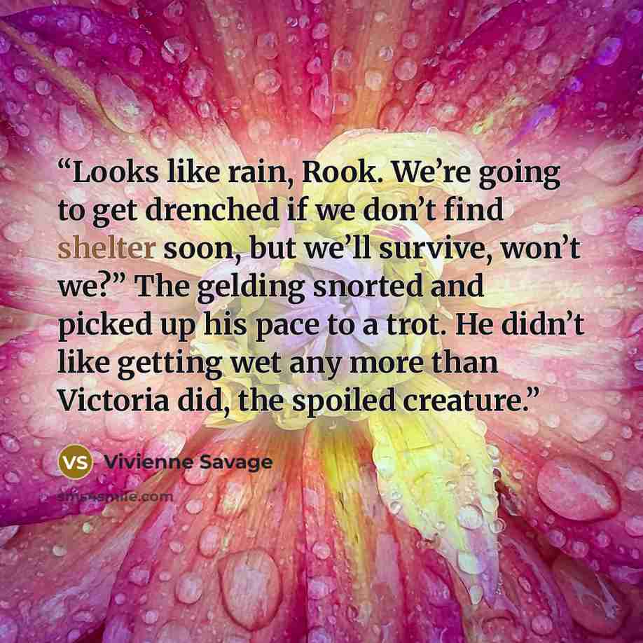 “Looks like rain, Rook. We’re going to get drenched if we don’t find shelter soon, but we’ll survive, won’t we?” The gelding snorted and picked up his pace to a trot. He didn’t like getting wet any more than Victoria did, the spoiled creature.” quote by Vivienne Savage