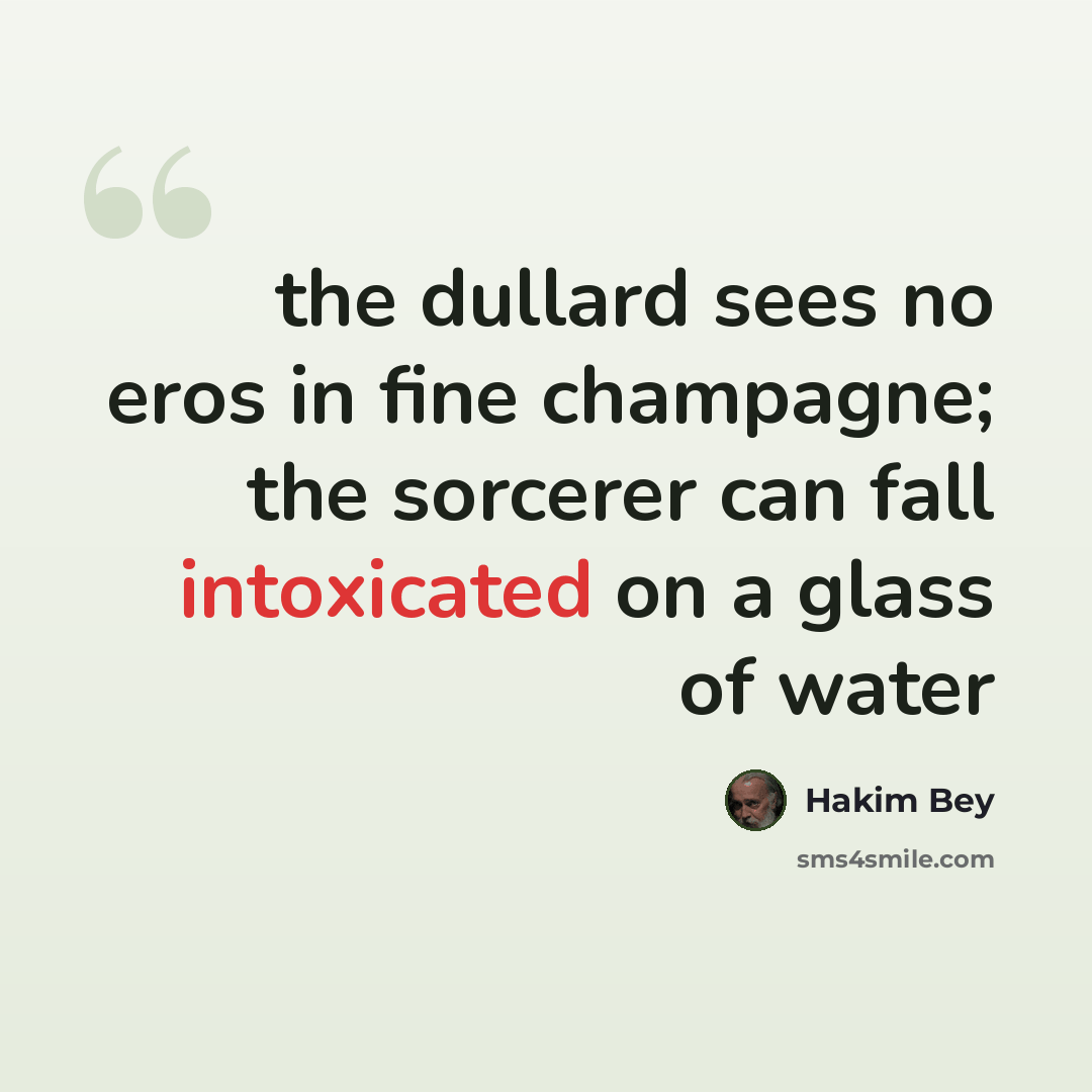 “the dullard sees no eros in fine champagne; the sorcerer can fall intoxicated on a glass of water” quote by Hakim Bey