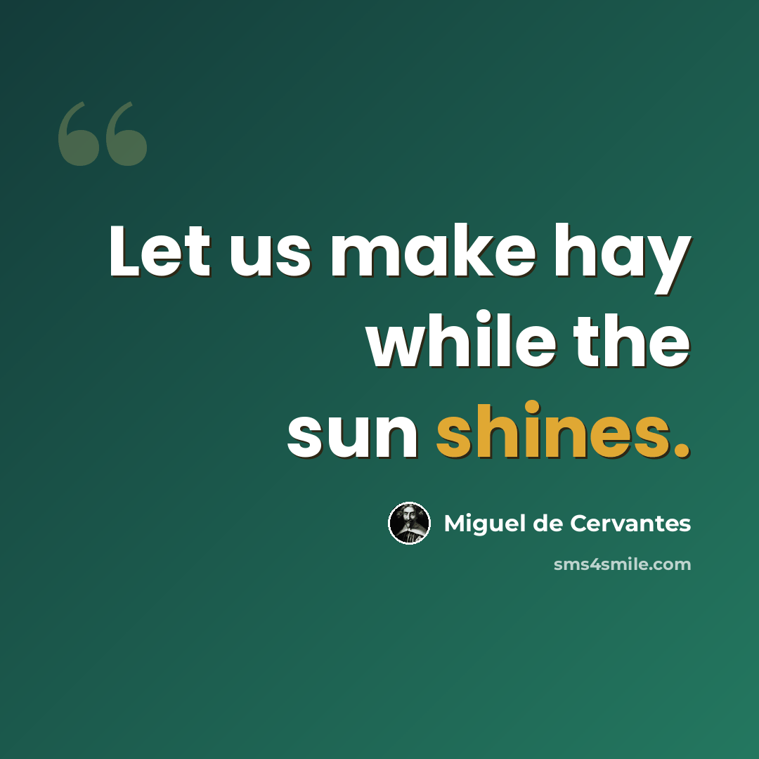“Let us make hay while the sun shines.” quote by Miguel de Cervantes