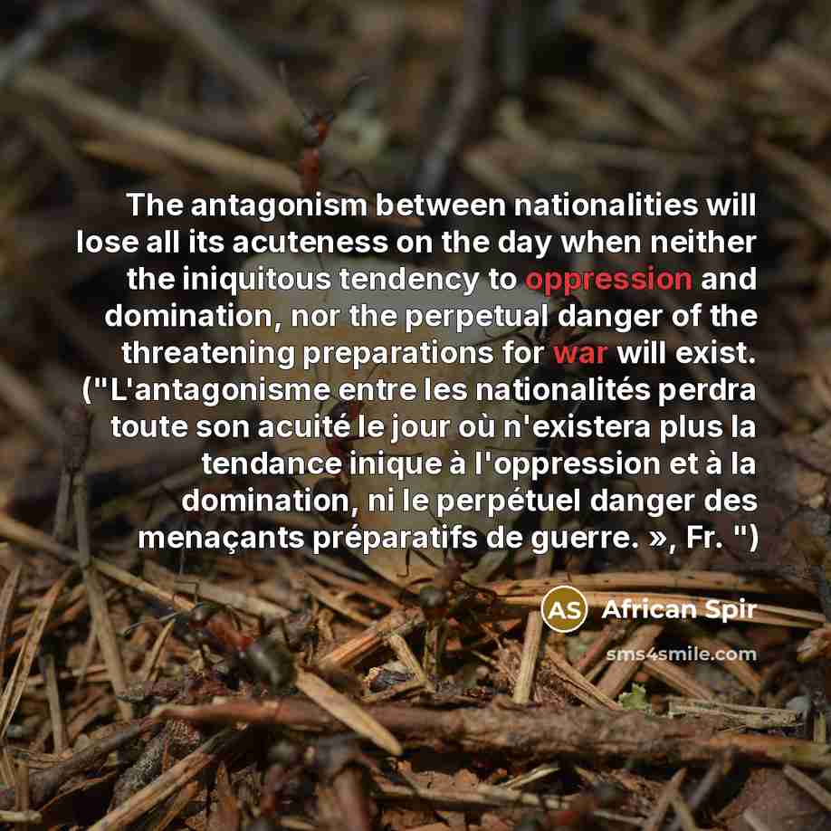 “The antagonism between nationalities will lose all its acuteness on the day when neither the iniquitous tendency to oppression and domination, nor the perpetual danger of the threatening preparations for war will exist. ("L'antagonisme entre les nationalités perdra toute son acuité le jour où…” quote by African Spir