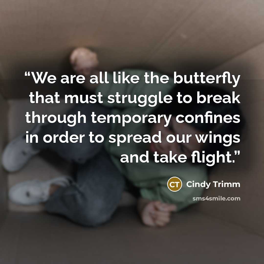 “We are all like the butterfly that must struggle to break through temporary confines in order to spread our wings and take flight.” quote by Cindy Trimm
