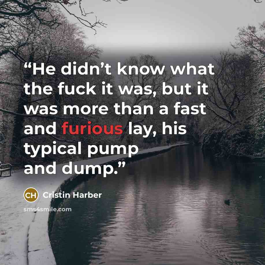 “He didn’t know what the fuck it was, but it was more than a fast and furious lay, his typical pump and dump.” quote by Cristin Harber