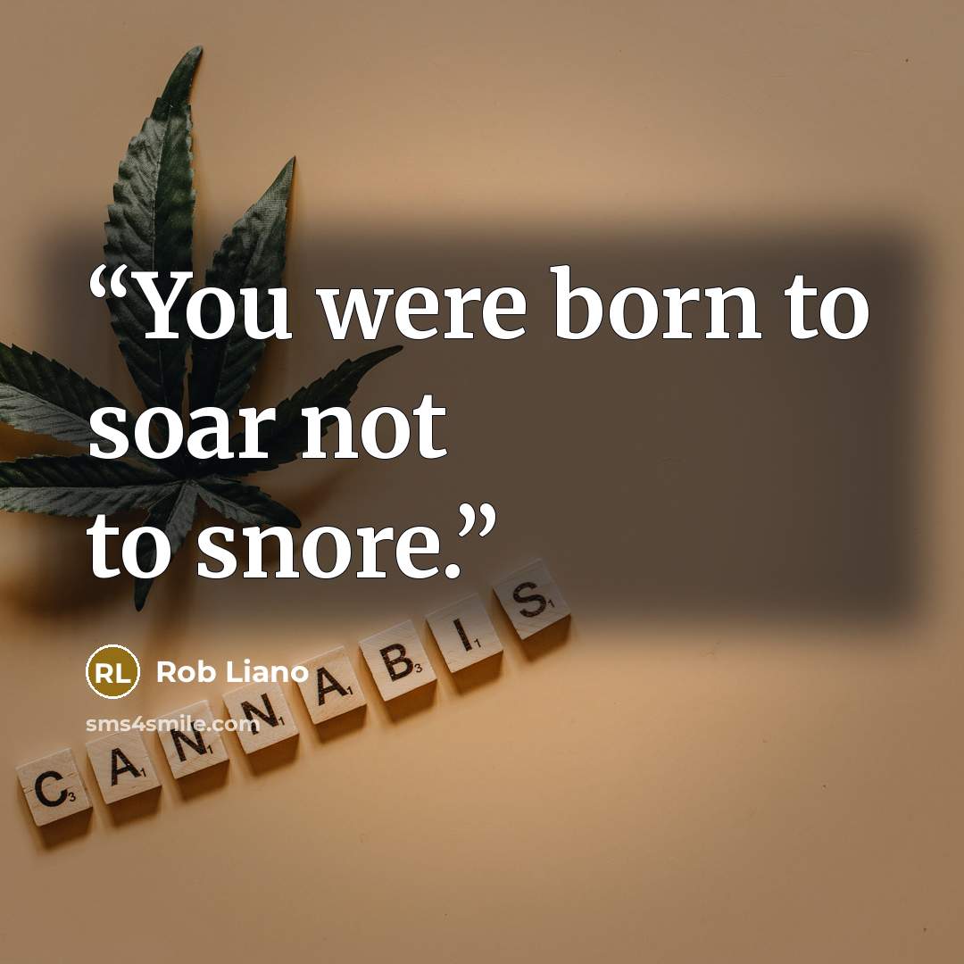 “You were born to soar not to snore.” quote by Rob Liano