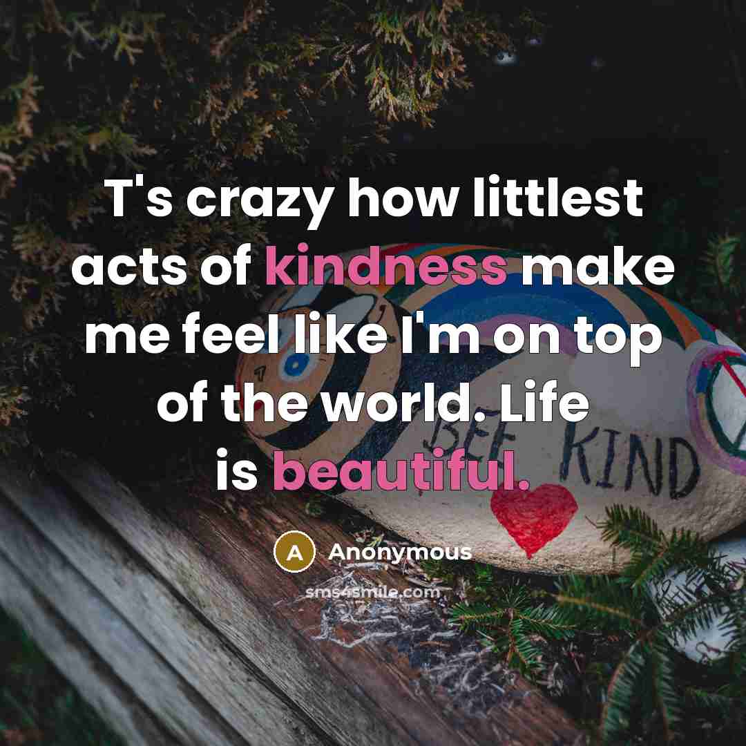 “T's crazy how littlest acts of kindness make me feel like I'm on top of the world. Life is beautiful.” quote by Anonymous