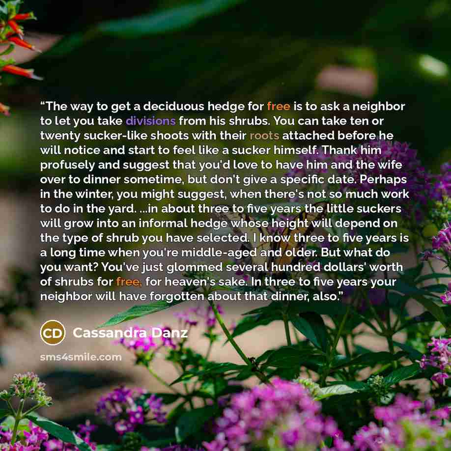 “The way to get a deciduous hedge for free is to ask a neighbor to let you take divisions from his shrubs. You can take ten or twenty sucker-like shoots with their roots attached before he will notice and start to feel like a sucker himself. Thank him profusely and suggest that you'd love to have…” quote by Cassandra Danz