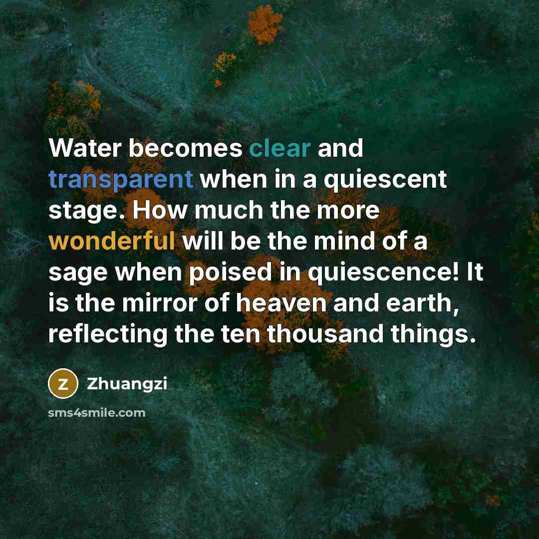 “Water becomes clear and transparent when in a quiescent stage. How much the more wonderful will be the mind of a sage when poised in quiescence! It is the mirror of heaven and earth, reflecting the ten thousand things.” quote by Zhuangzi