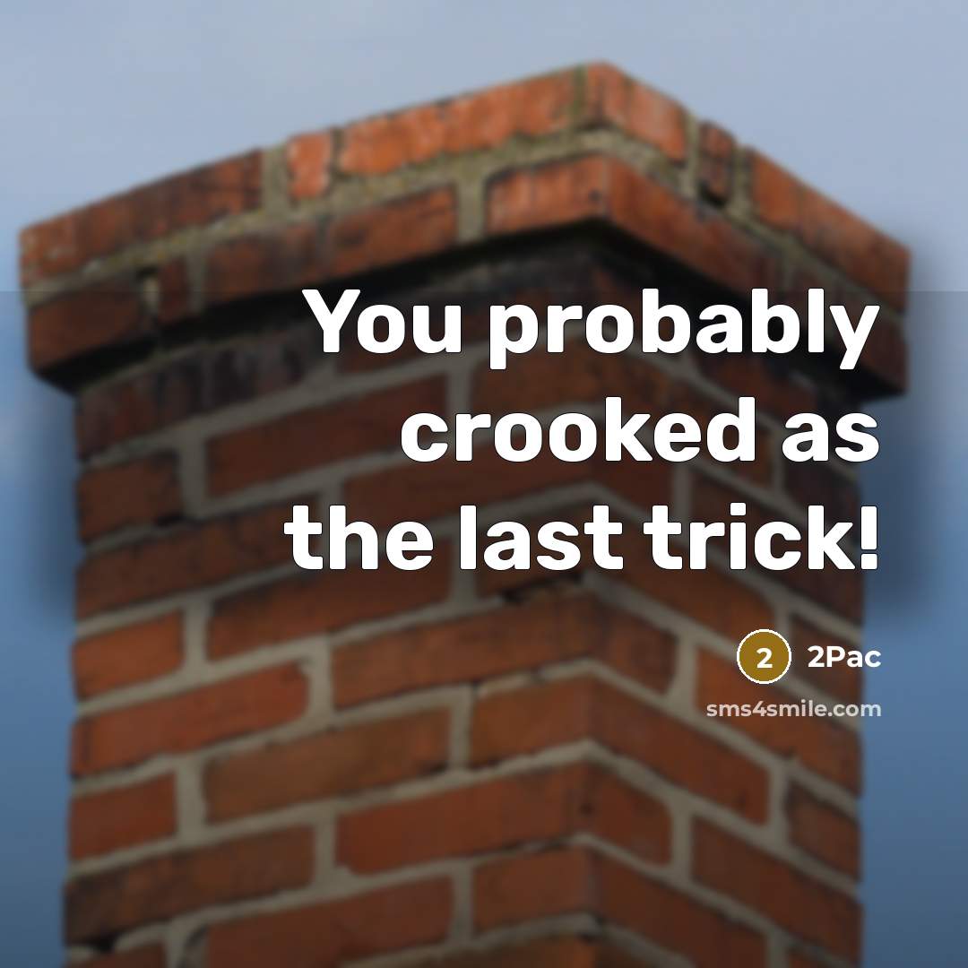 “You probably crooked as the last trick!” quote by 2pac