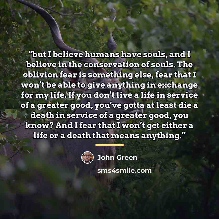 “but I believe humans have souls, and I believe in the conservation of souls. The oblivion fear is something else, fear that I won’t be able to give anything in exchange for my life. If you don’t live a life in service of a greater good, you’ve gotta at least die a death in service of a greater…” quote by John Green