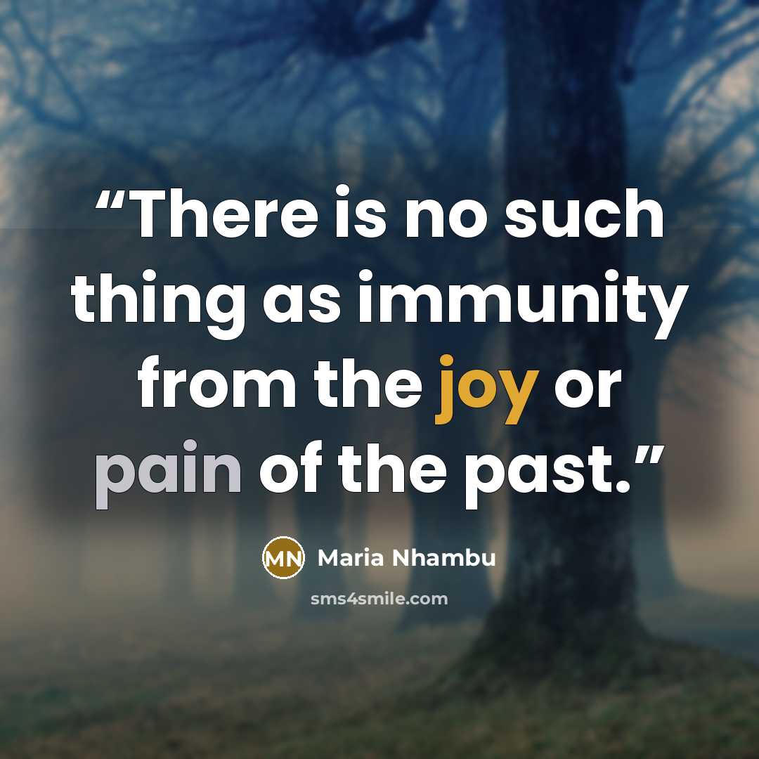 “There is no such thing as immunity from the joy or pain of the past.” quote by Maria Nhambu
