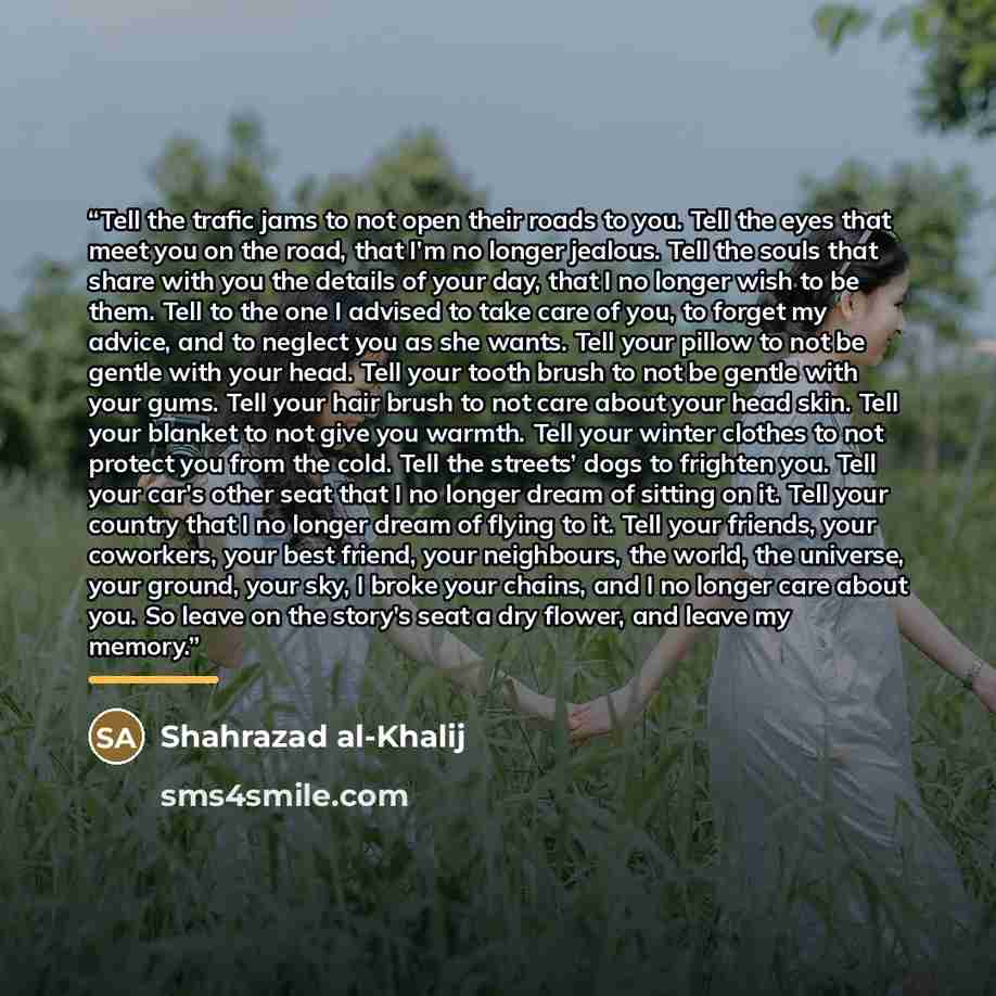 “Tell the trafic jams to not open their roads to you. Tell the eyes that meet you on the road, that I’m no longer jealous. Tell the souls that share with you the details of your day, that I no longer wish to be them. Tell to the one I advised to take care of you, to forget my advice, and to neglect…” quote by Shahrazad al-Khalij
