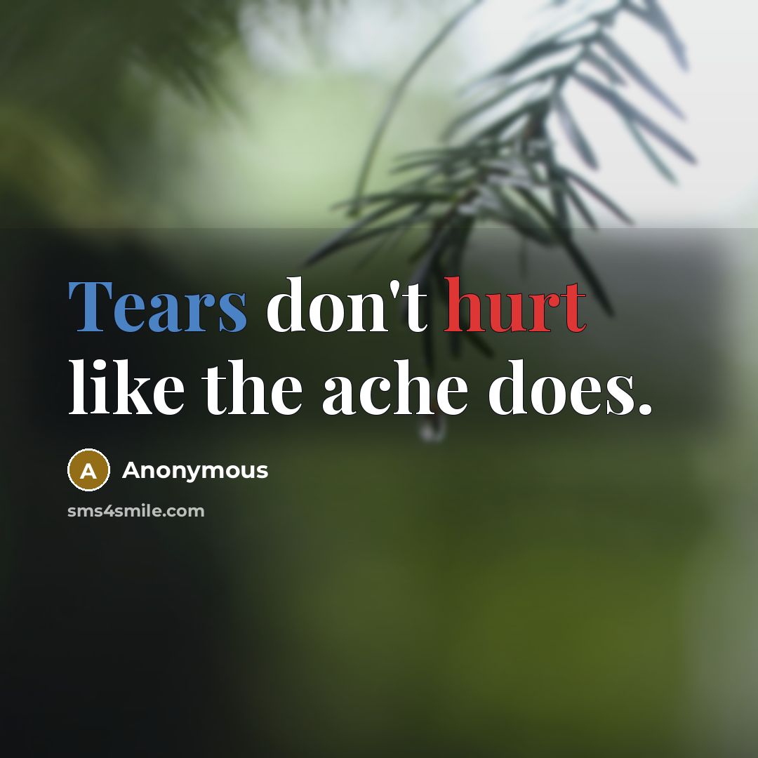 “Tears don't hurt like the ache does.” quote by Anonymous