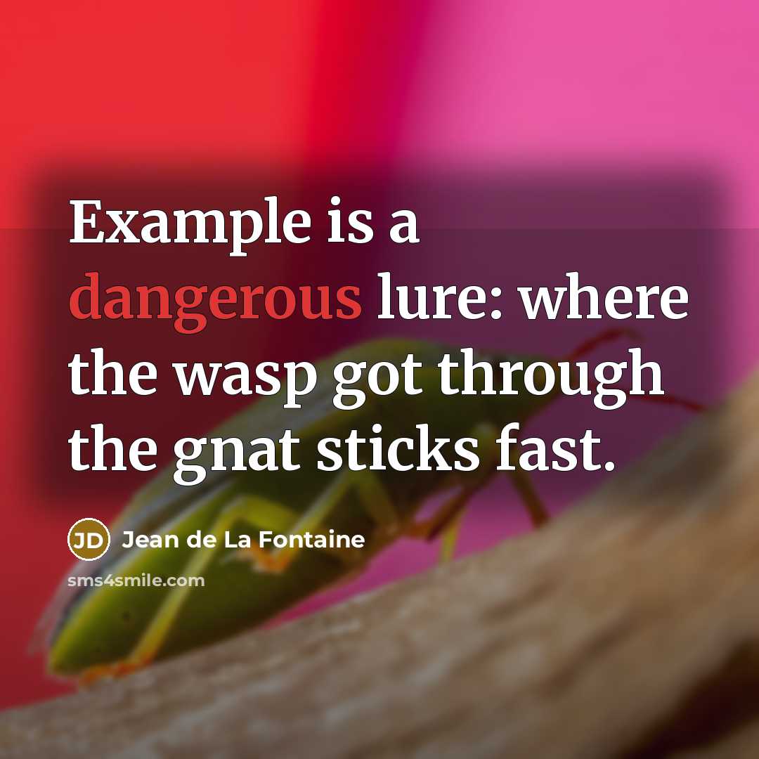 “Example is a dangerous lure: where the wasp got through the gnat sticks fast.” quote by Jean de La Fontaine