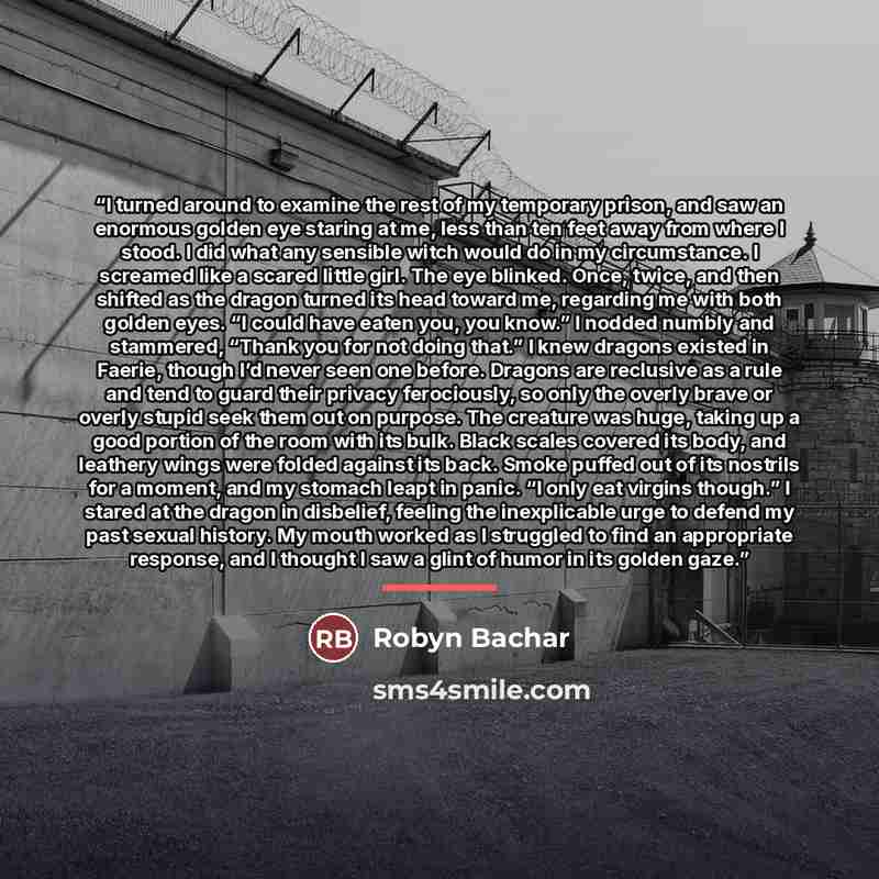 “I turned around to examine the rest of my temporary prison, and saw an enormous golden eye staring at me, less than ten feet away from where I stood. I did what any sensible witch would do in my circumstance. I screamed like a scared little girl. The eye blinked. Once, twice, and then shifted as…” quote by Robyn Bachar