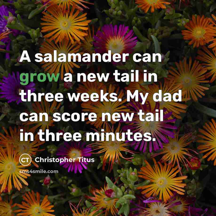“A salamander can grow a new tail in three weeks. My dad can score new tail in three minutes.” quote by Christopher Titus
