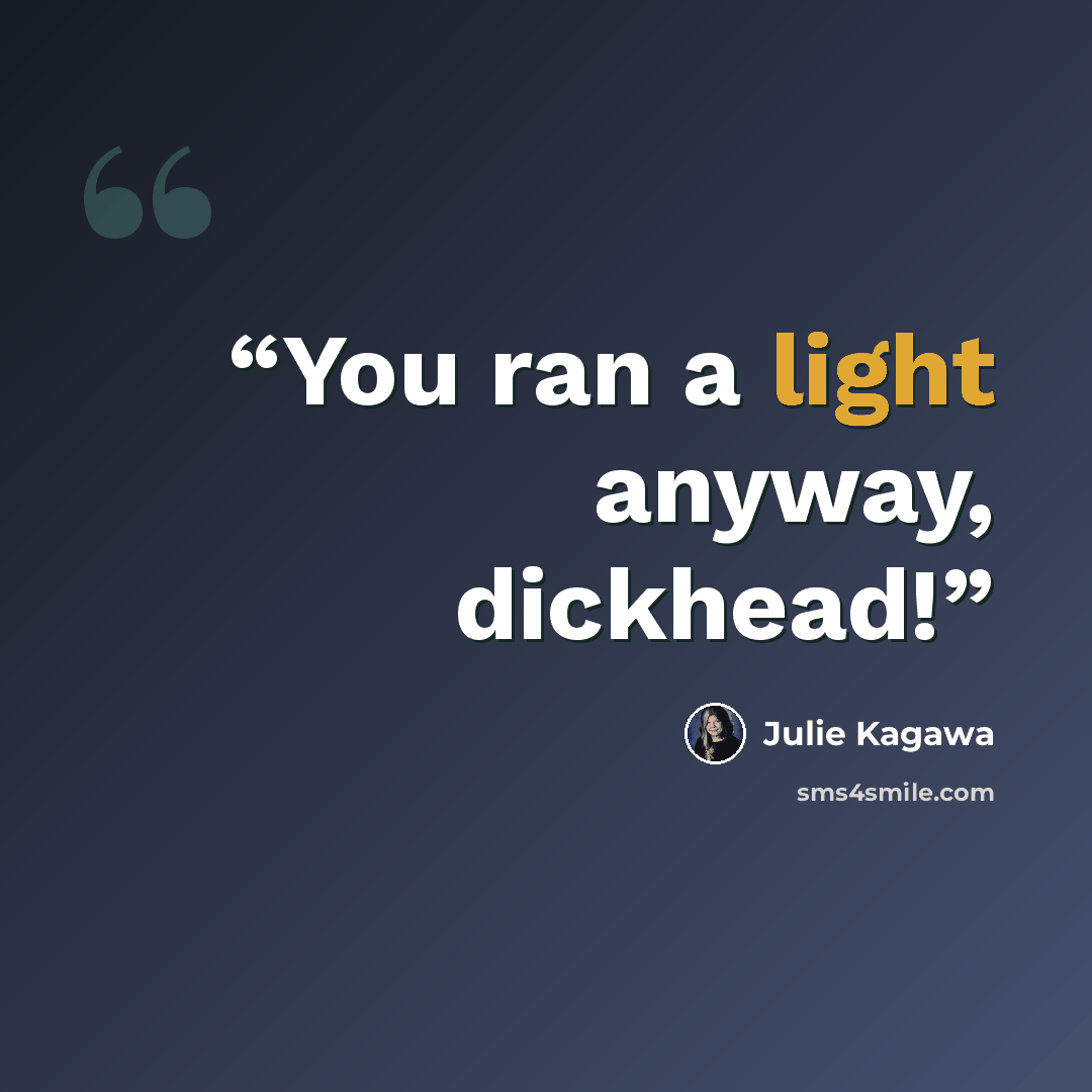 “You ran a light anyway, dickhead!” quote by Julie Kagawa
