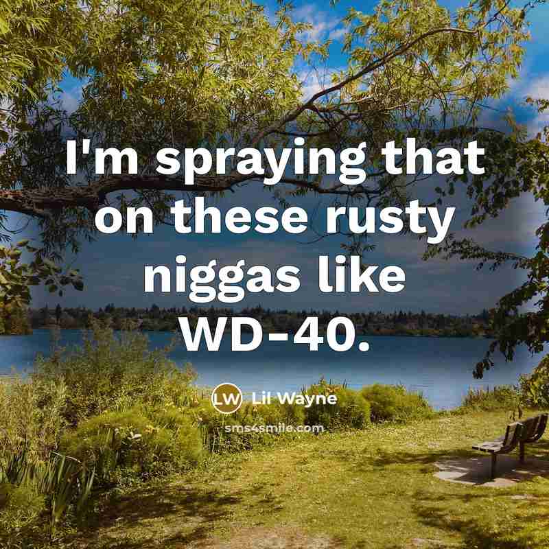 “I'm spraying that on these rusty niggas like WD-40.” quote by Lil Wayne
