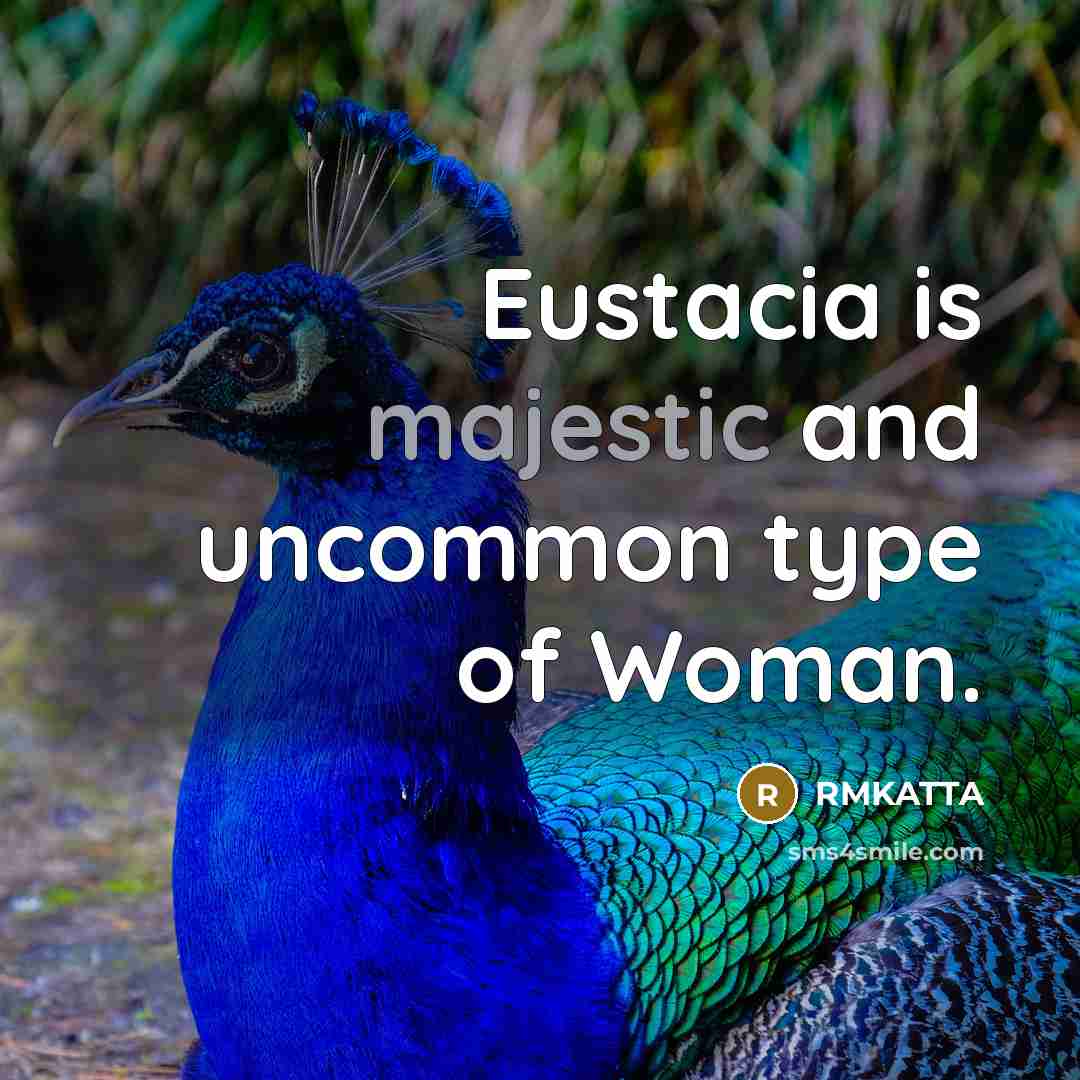 “Eustacia is majestic and uncommon type of Woman.” quote by RMKATTA