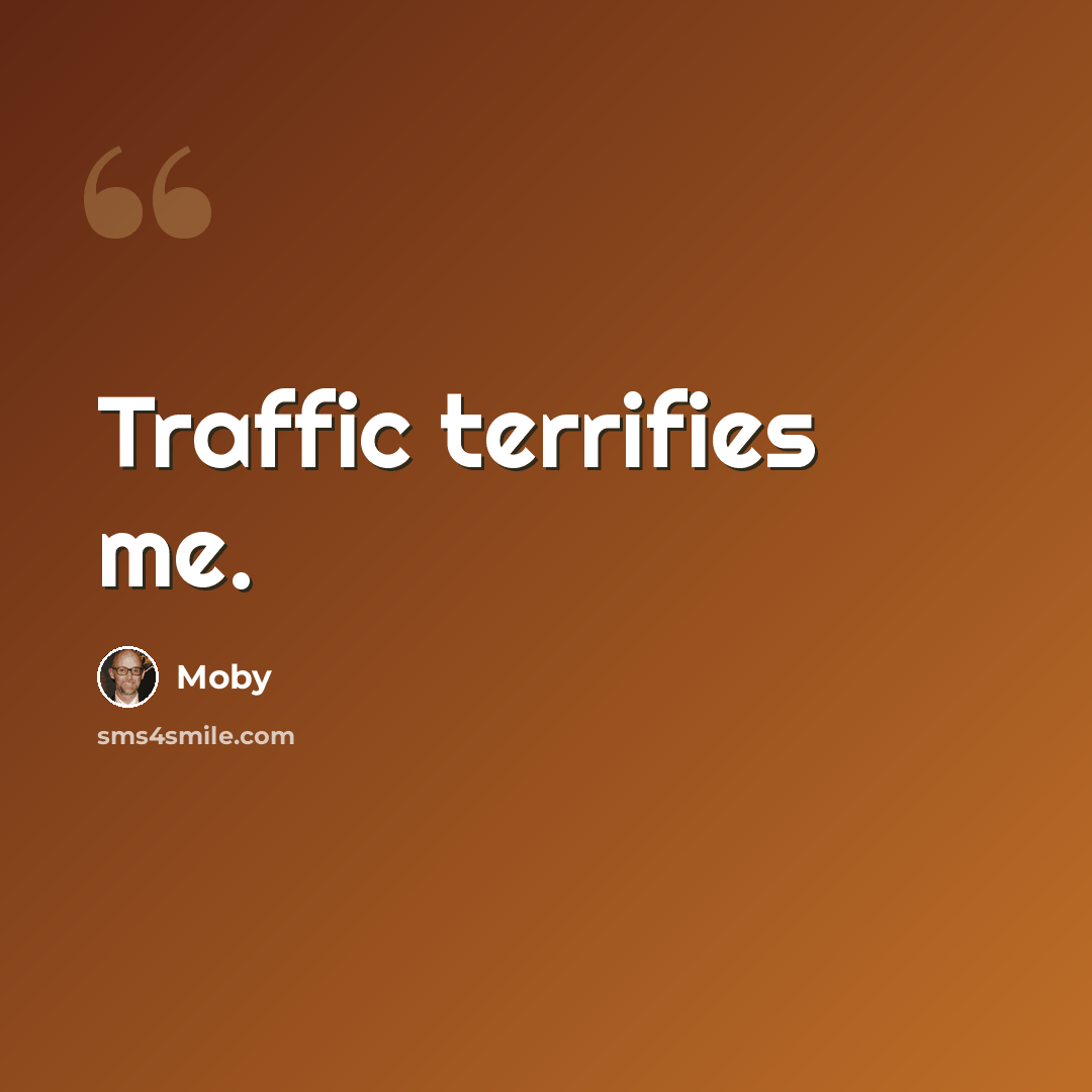 “Traffic terrifies me.” quote by Moby