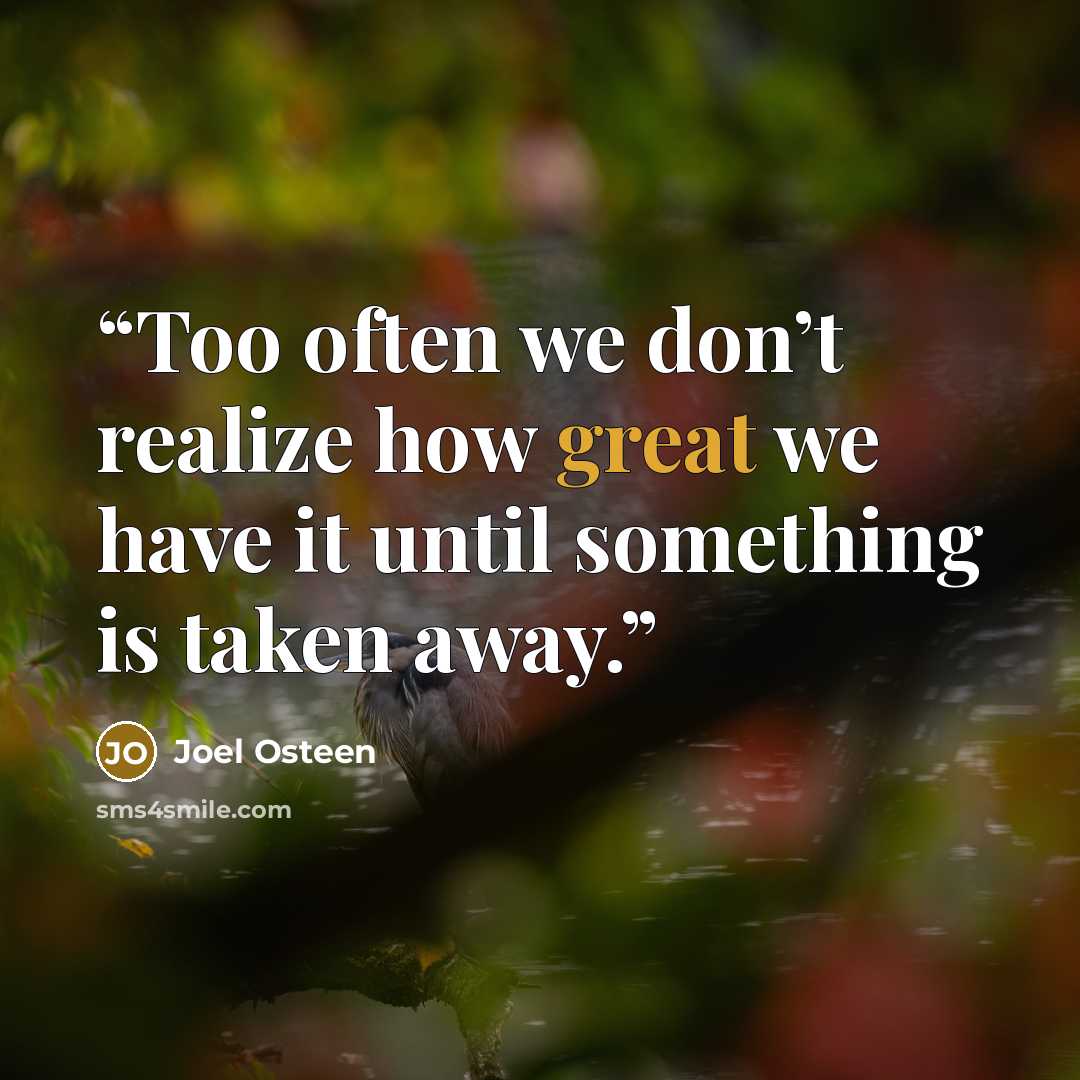 “Too often we don’t realize how great we have it until something is taken away.” quote by Joel Osteen