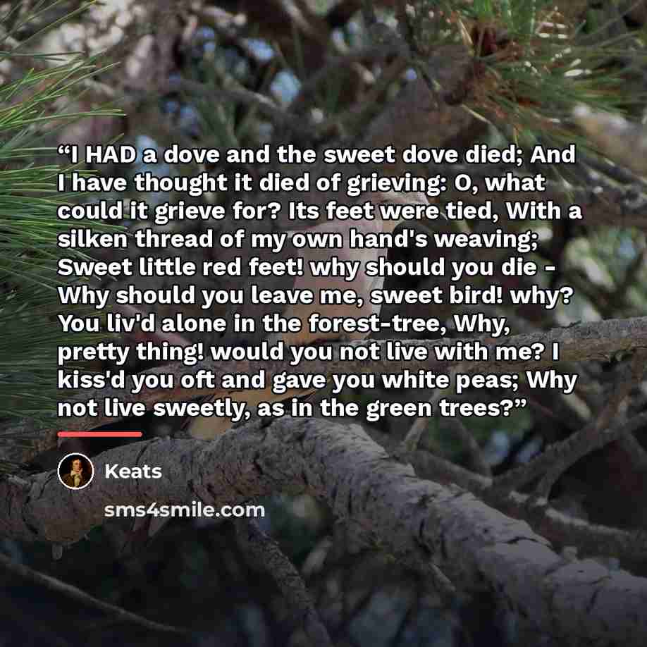 “I HAD a dove and the sweet dove died; And I have thought it died of grieving: O, what could it grieve for? Its feet were tied, With a silken thread of my own hand's weaving; Sweet little red feet! why should you die - Why should you leave me, sweet bird! why? You liv'd alone in the forest-tree…” quote by Keats