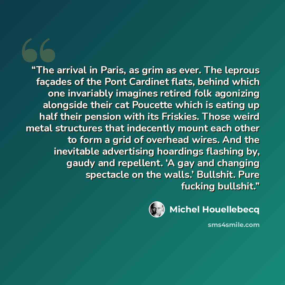 “The arrival in Paris, as grim as ever. The leprous façades of the Pont Cardinet flats, behind which one invariably imagines retired folk agonizing alongside their cat Poucette which is eating up half their pension with its Friskies. Those weird metal structures that indecently mount each other to…” quote by Michel Houellebecq