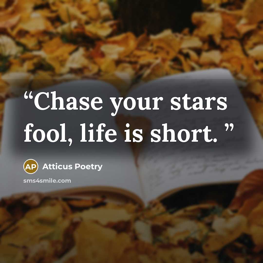 “Chase your stars fool, life is short.” quote by Atticus Poetry
