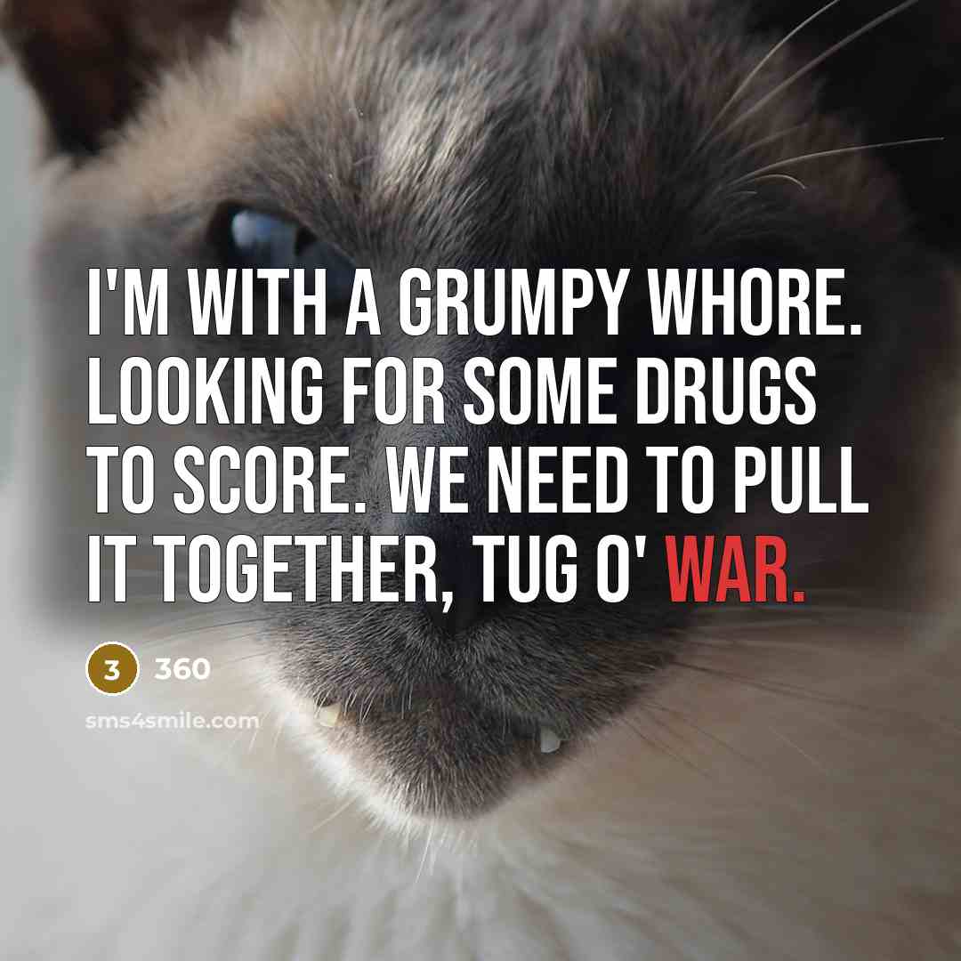 “I'm with a grumpy whore. Looking for some drugs to score. We need to pull it together, tug o' war.” quote by 360