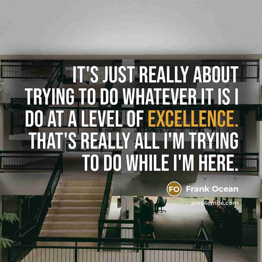 “It's just really about trying to do whatever it is I do at a level of excellence. That's really all I'm trying to do while I'm here.” quote by Frank Ocean