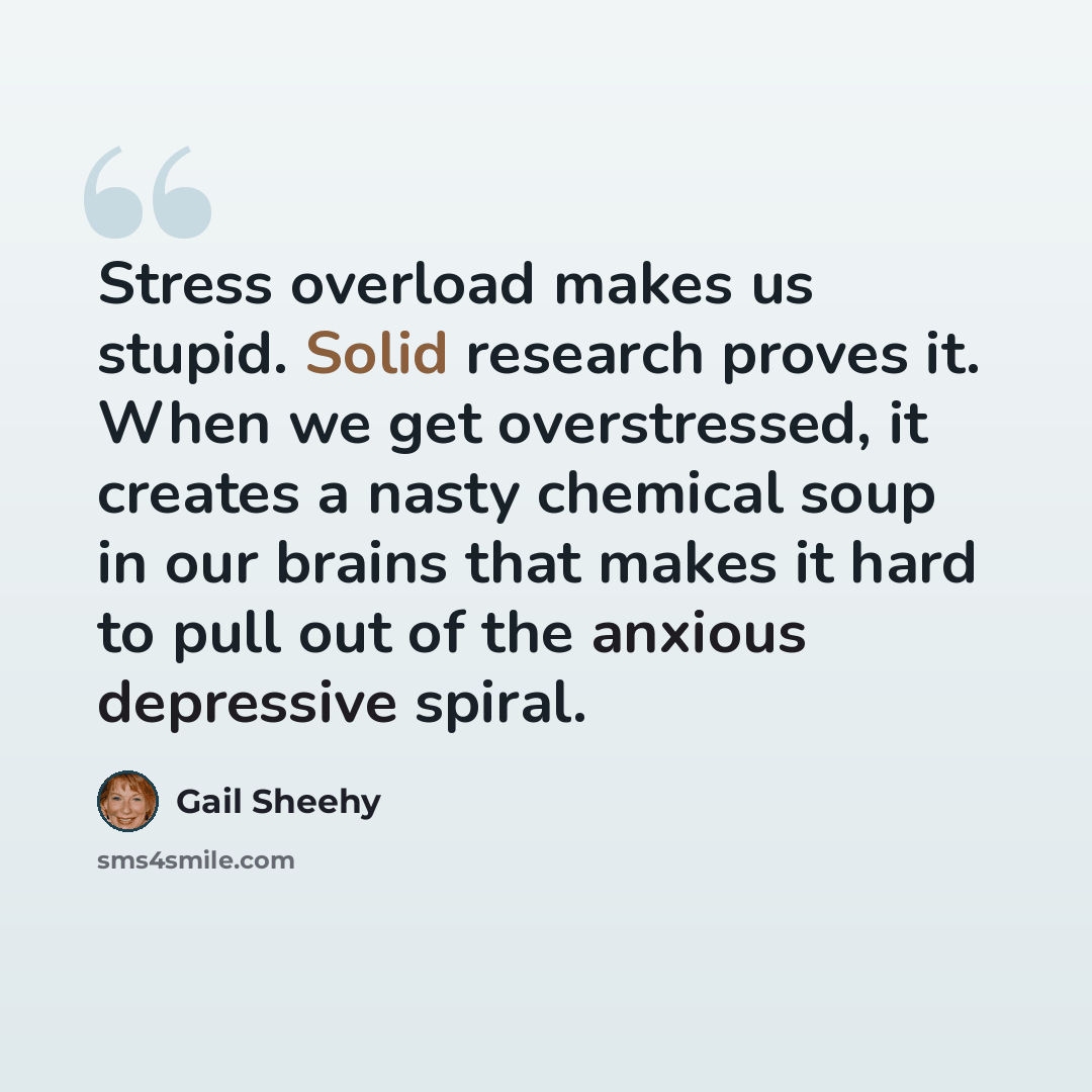 “Stress overload makes us stupid. Solid research proves it. When we get overstressed, it creates a nasty chemical soup in our brains that makes it hard to pull out of the anxious depressive spiral.” quote by Gail Sheehy