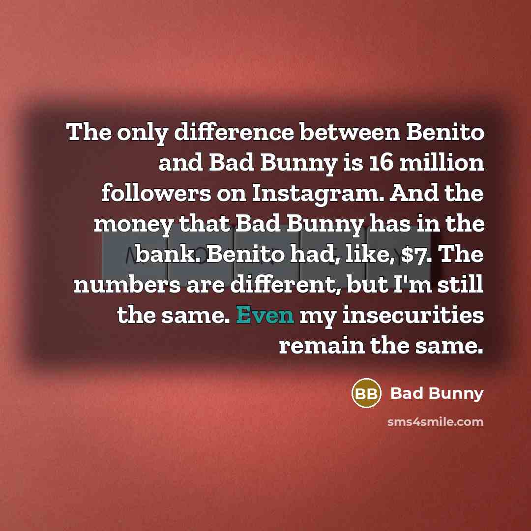 “The only difference between Benito and Bad Bunny is 16 million followers on Instagram. And the money that Bad Bunny has in the bank. Benito had, like, $7. The numbers are different, but I'm still the same. Even my insecurities remain the same.” quote by Bad Bunny