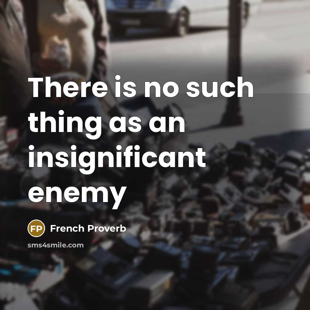 “There is no such thing as an insignificant enemy” quote by French Proverb