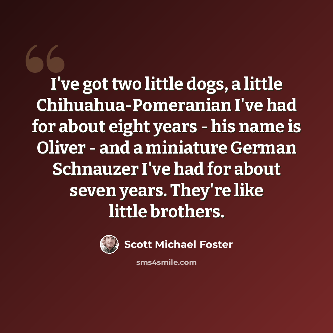 “I've got two little dogs, a little Chihuahua-Pomeranian I've had for about eight years - his name is Oliver - and a miniature German Schnauzer I've had for about seven years. They're like little brothers.” quote by Scott Michael Foster