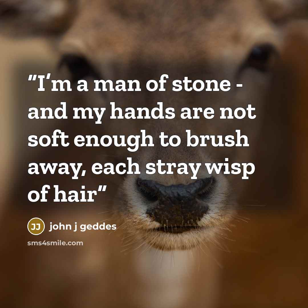 “I’m a man of stone - and my hands are not soft enough to brush away, each stray wisp of hair” quote by john j geddes