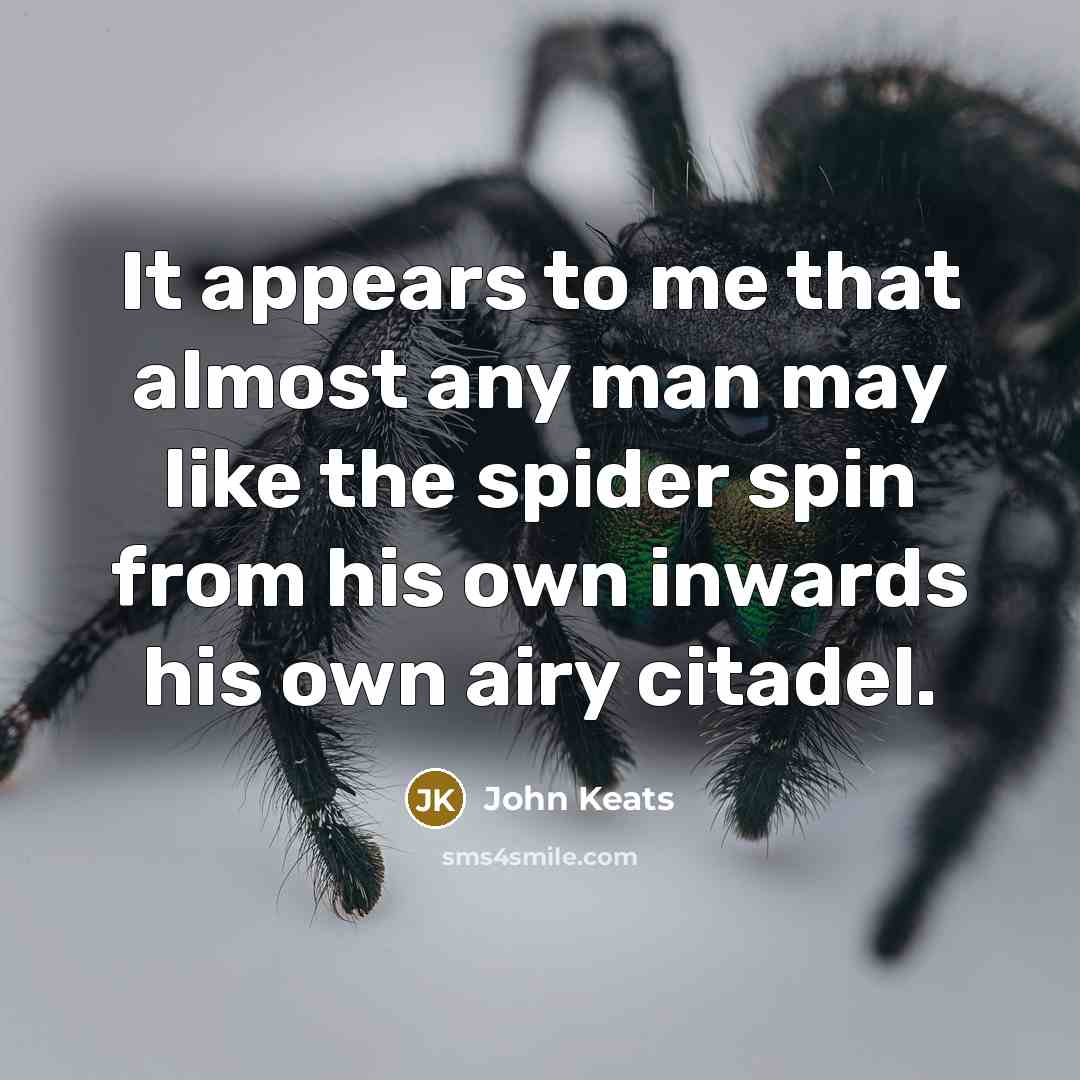 “It appears to me that almost any man may like the spider spin from his own inwards his own airy citadel.” quote by John Keats
